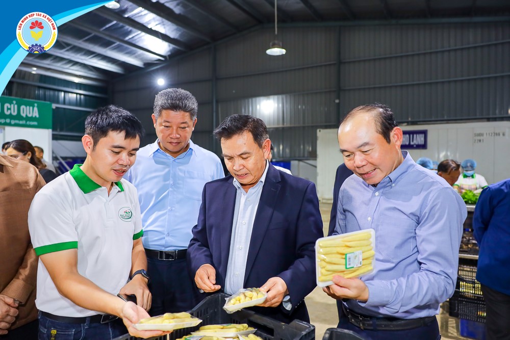 Chủ tịch Quốc hội nước CHDCND Lào đến thăm và làm việc tại HTX sản xuất, tiêu thụ rau an toàn xã Bắc Hồng (Hà Nội)