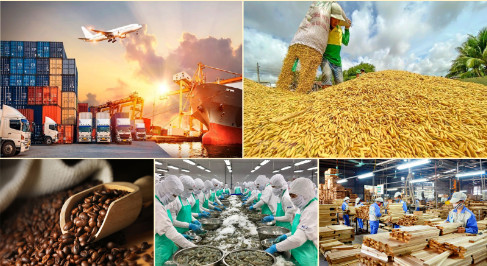 LocaMart - Giải pháp góp phần nâng tầm nông sản Việt